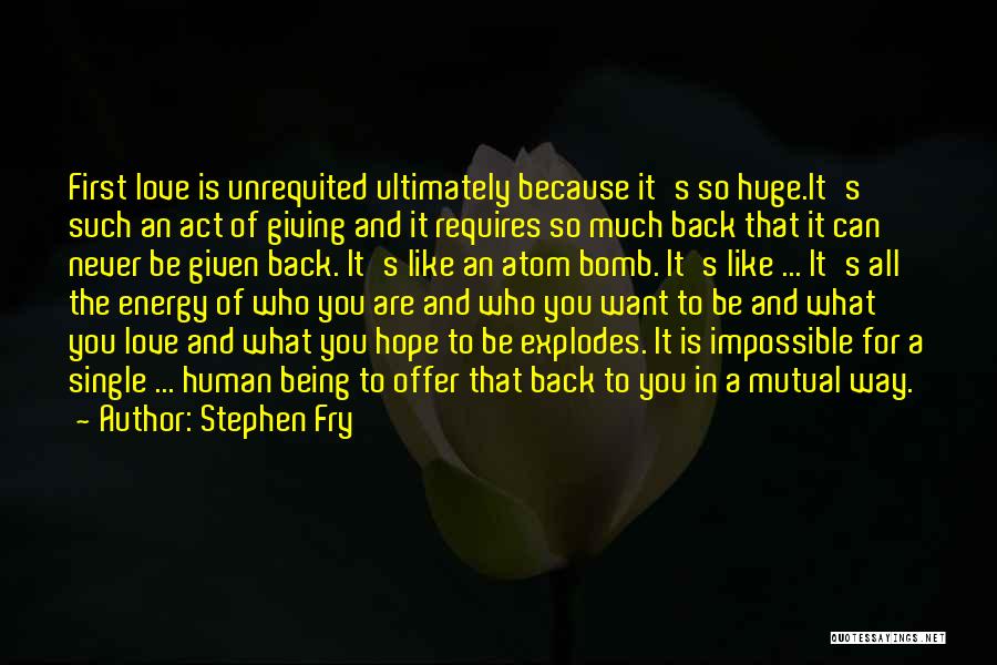 Being Never Giving Up Quotes By Stephen Fry