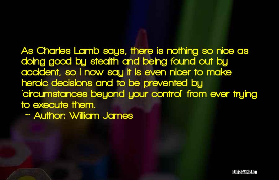 Being Nice Quotes By William James