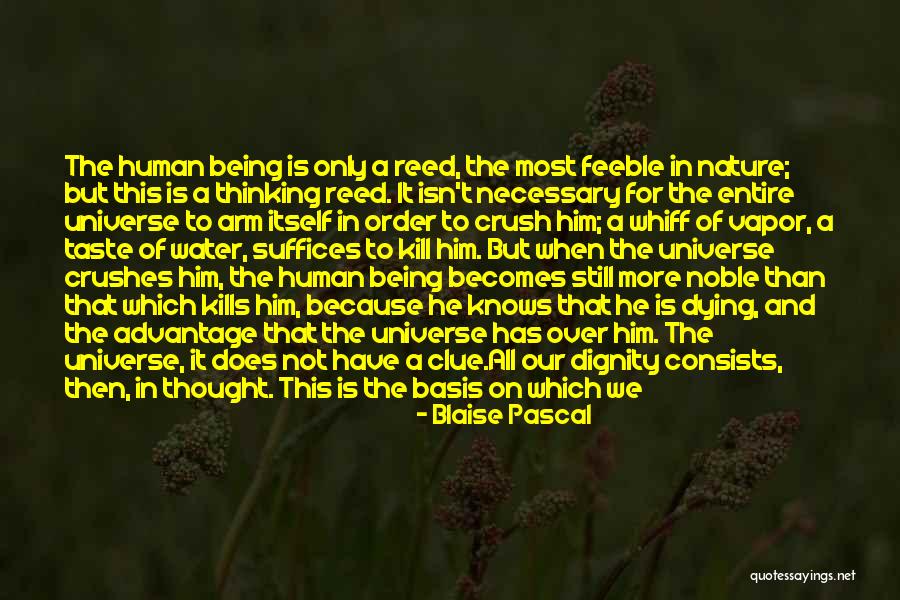 Being Noble Quotes By Blaise Pascal Being Noble Quotes By Blaise Pascal