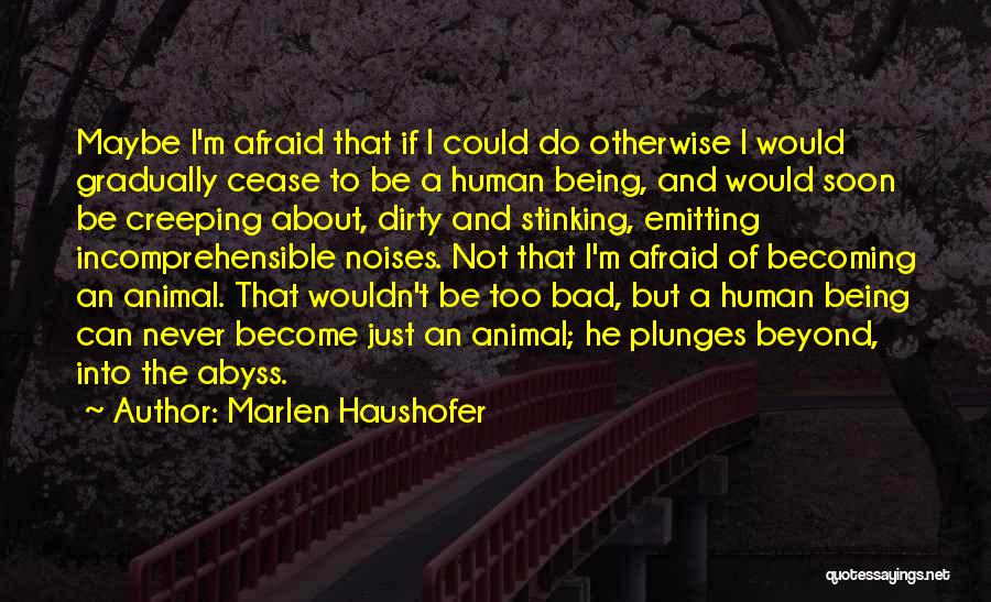 Being Not Afraid Quotes By Marlen Haushofer