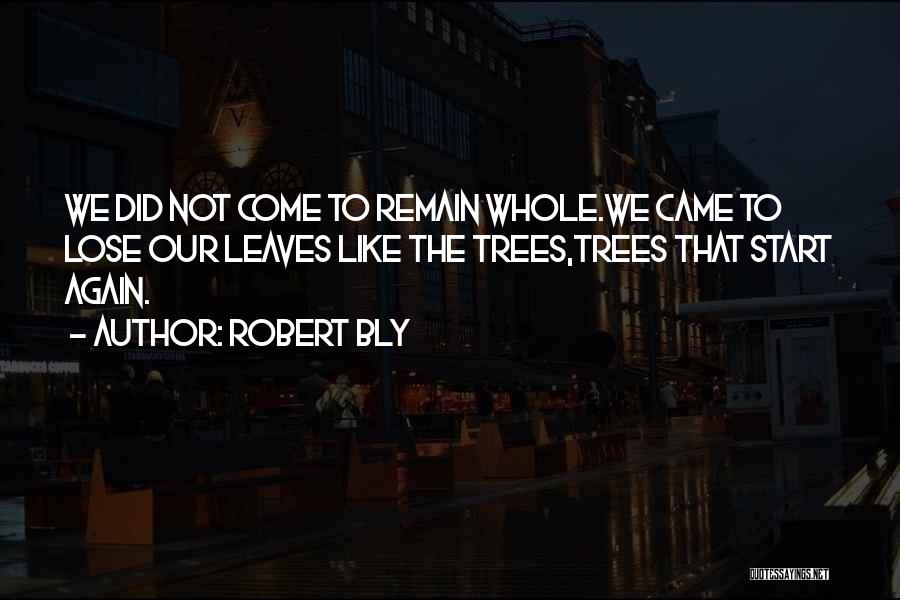 Being Not Alone Quotes By Robert Bly