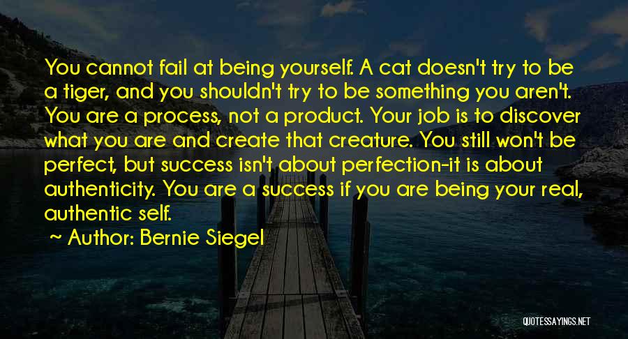 Being Not Perfect Quotes By Bernie Siegel