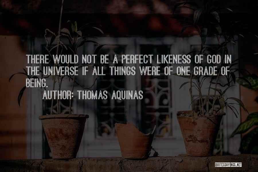 Being Not Perfect Quotes By Thomas Aquinas