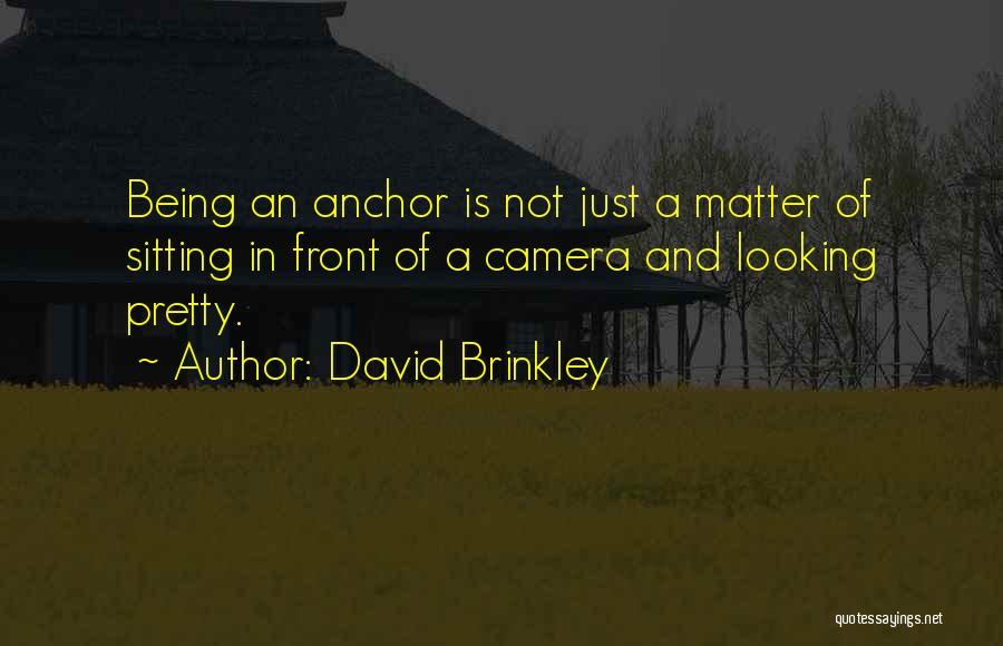 Being Not Pretty Quotes By David Brinkley