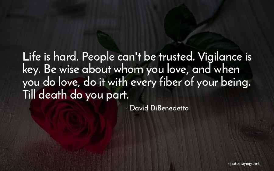 Being Not Trusted Quotes By David DiBenedetto