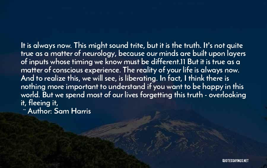 Being Nothing But Happy Quotes By Sam Harris