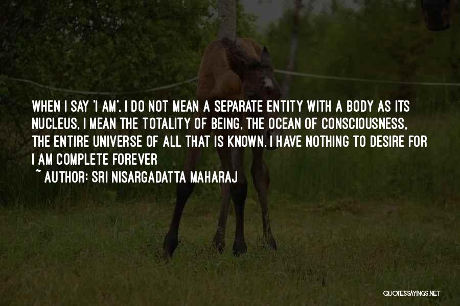 Being Nothing Quotes By Sri Nisargadatta Maharaj