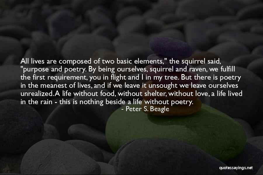 Being Nothing Without You Quotes By Peter S. Beagle