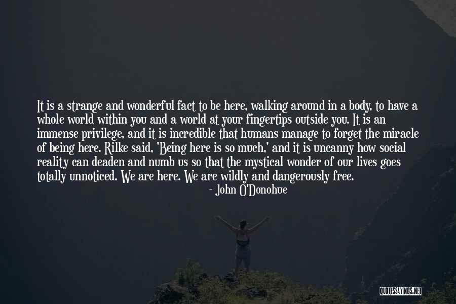 Being Numb Quotes By John O'Donohue Being Numb Quotes By John O'Donohue