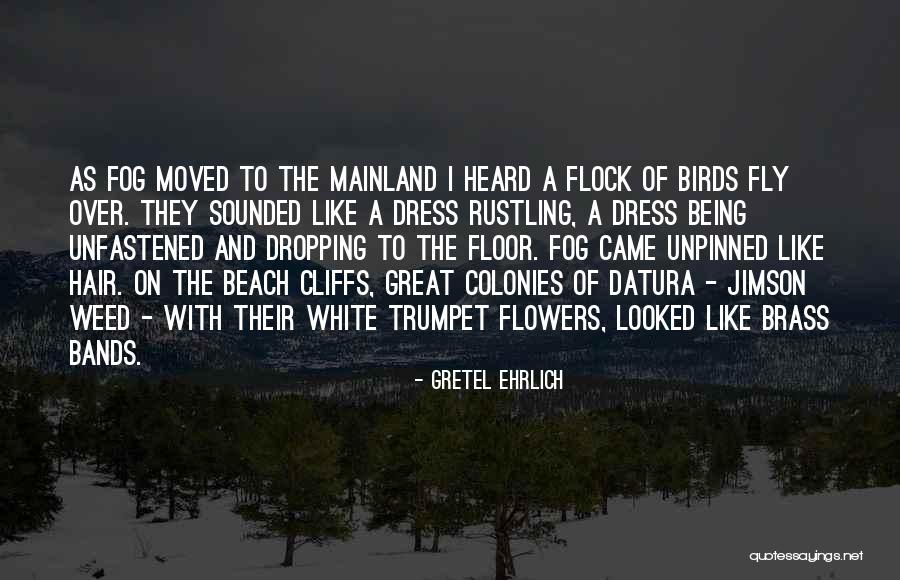 Being On A Beach Quotes By Gretel Ehrlich Being On A Beach Quotes By Gretel Ehrlich