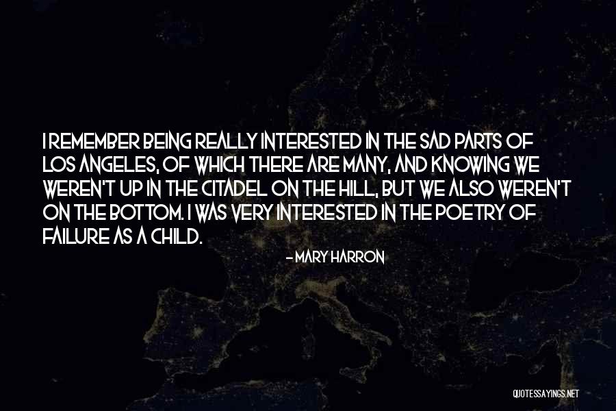 Being On The Bottom Quotes By Mary Harron Being On The Bottom Quotes By Mary Harron