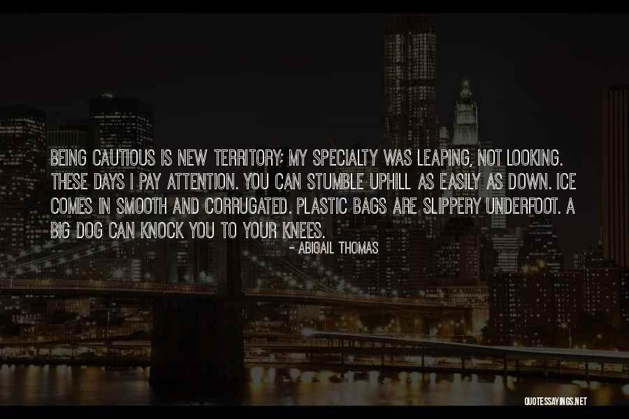 Being On Your Knees Quotes By Abigail Thomas Being On Your Knees Quotes By Abigail Thomas