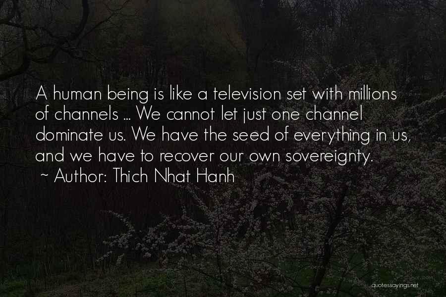 Being One With Everything Quotes By Thich Nhat Hanh