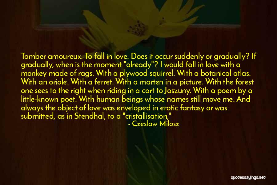 Being One With Someone Quotes By Czeslaw Milosz Being One With Someone Quotes By Czeslaw Milosz