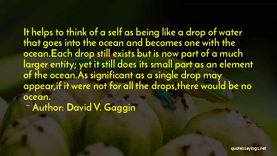 Being One With The Ocean Quotes By David V. Gaggin