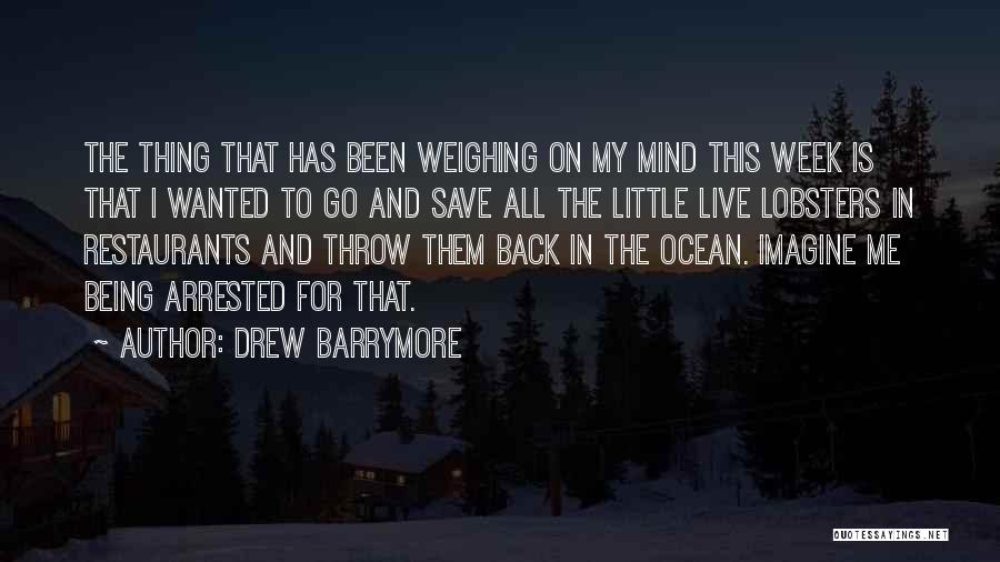 Being One With The Ocean Quotes By Drew Barrymore