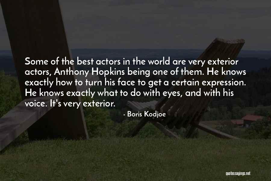 Being One With The World Quotes By Boris Kodjoe