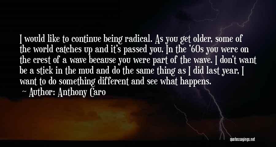 Being One Year Older Quotes By Anthony Caro