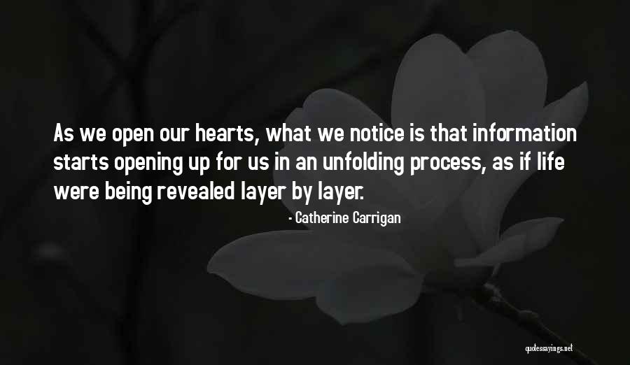Being Open Quotes By Catherine Carrigan Being Open Quotes By Catherine Carrigan