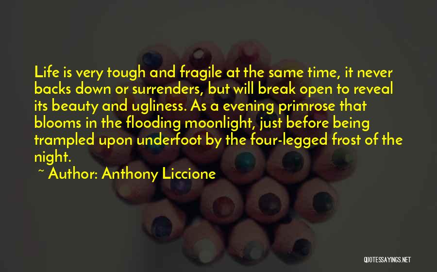 Being Open To Change Quotes By Anthony Liccione