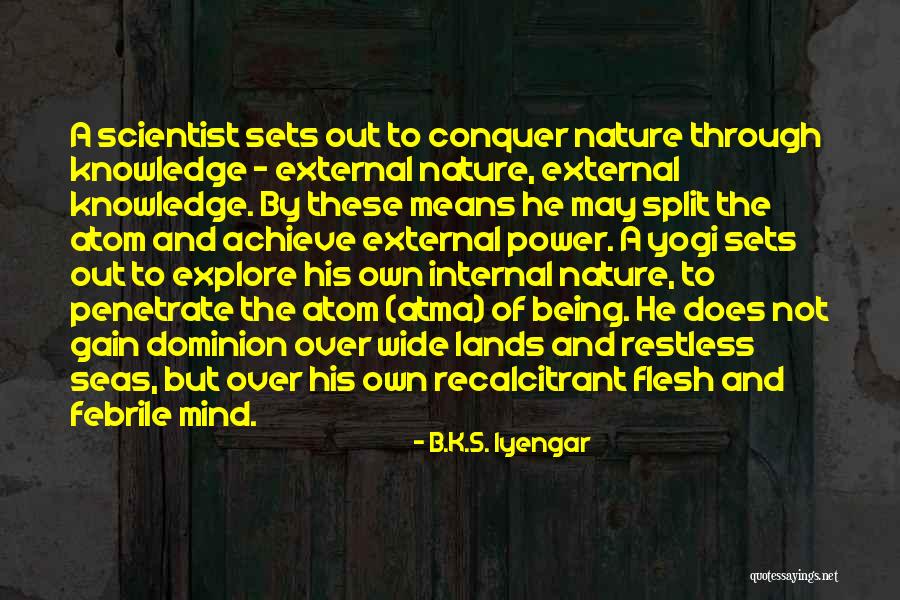 Being Out At Sea Quotes By B.K.S. Iyengar