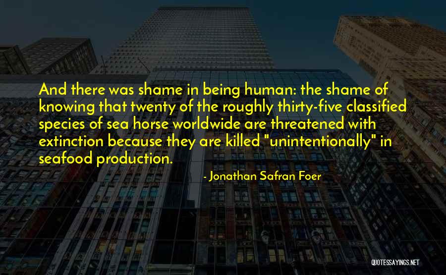 Being Out At Sea Quotes By Jonathan Safran Foer