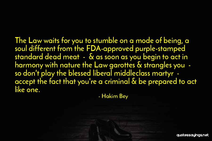 Being Over Prepared Quotes By Hakim Bey Being Over Prepared Quotes By Hakim Bey
