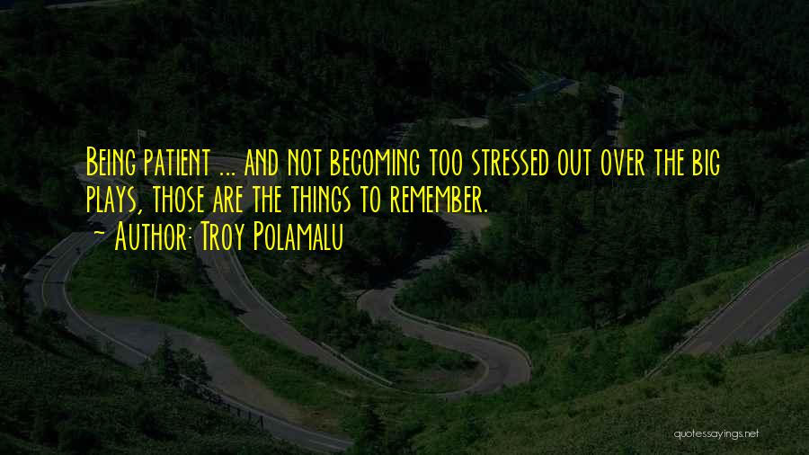 Being Over Stressed Quotes By Troy Polamalu