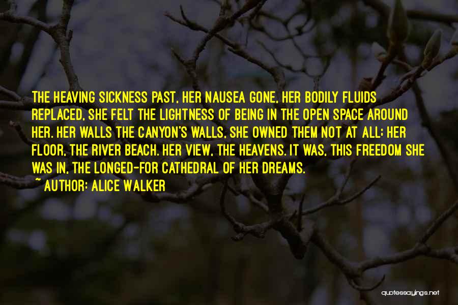 Being Owned Quotes By Alice Walker