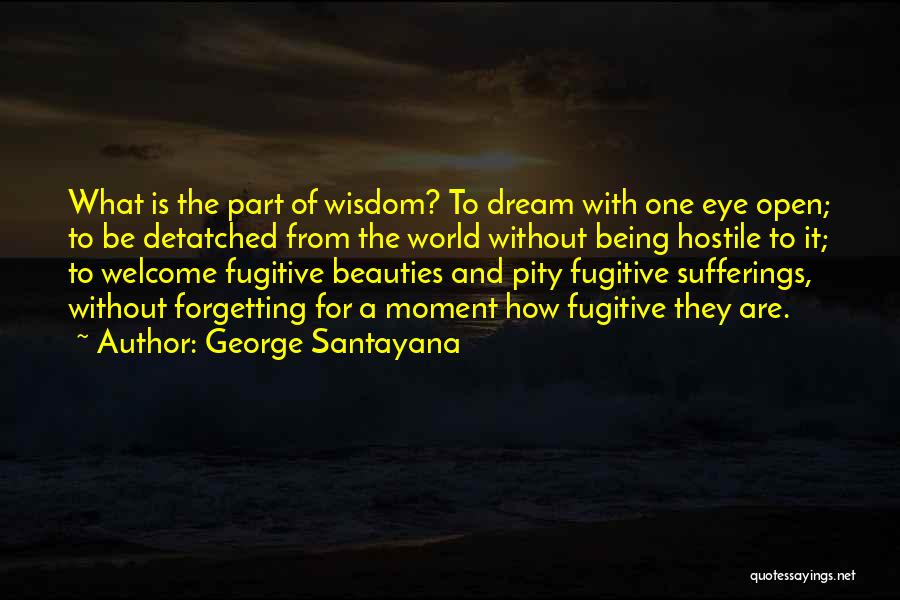 Being Part Of The World Quotes By George Santayana