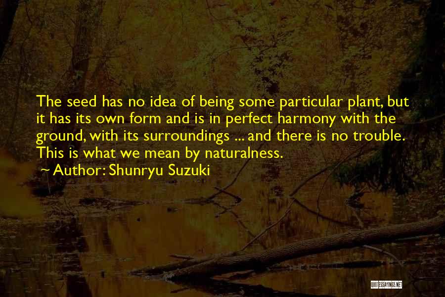 Being Particular Quotes By Shunryu Suzuki