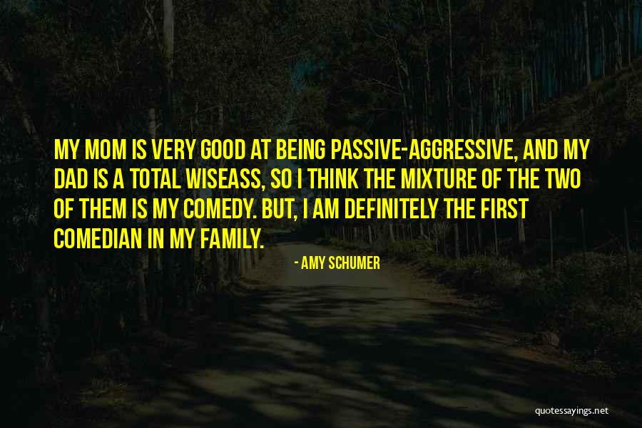 Being Passive Aggressive Quotes By Amy Schumer Being Passive Aggressive Quotes By Amy Schumer