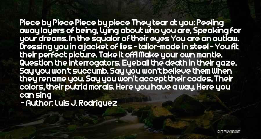 Being Perfect The Way You Are Quotes By Luis J. Rodriguez