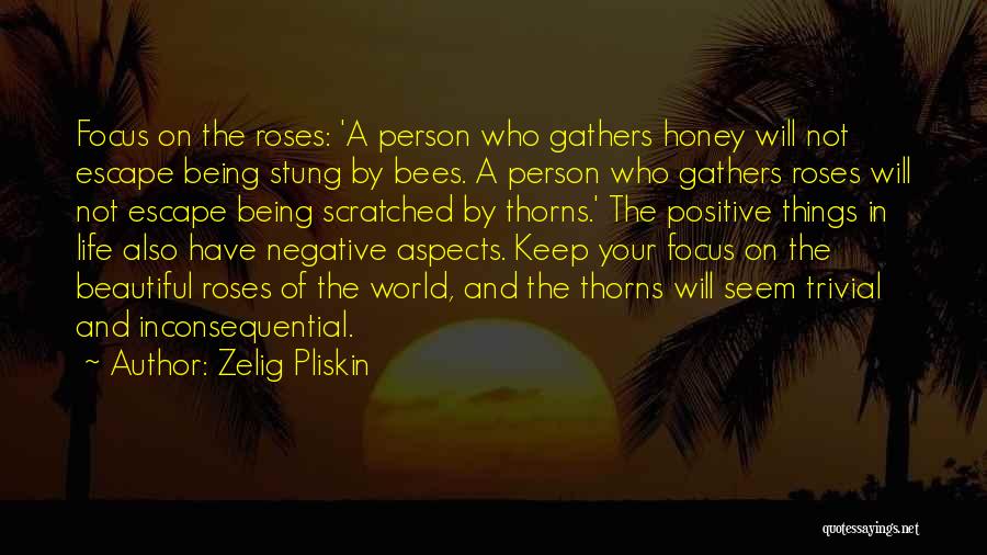 Being Positive And Not Negative Quotes By Zelig Pliskin