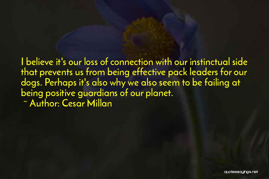 Being Positive Quotes By Cesar Millan