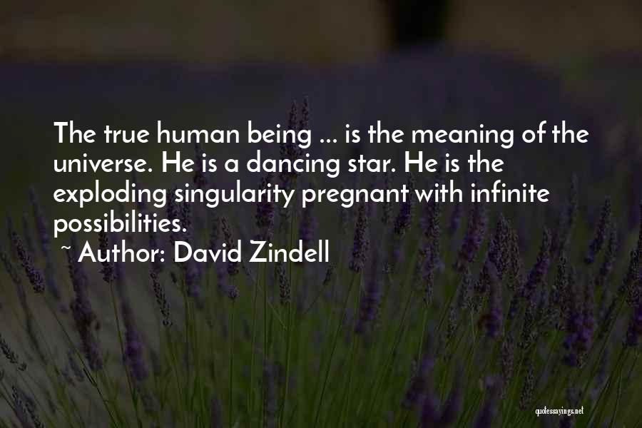 Being Pregnant Quotes By David Zindell