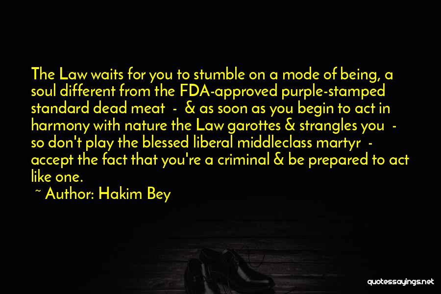 Being Prepared Quotes By Hakim Bey