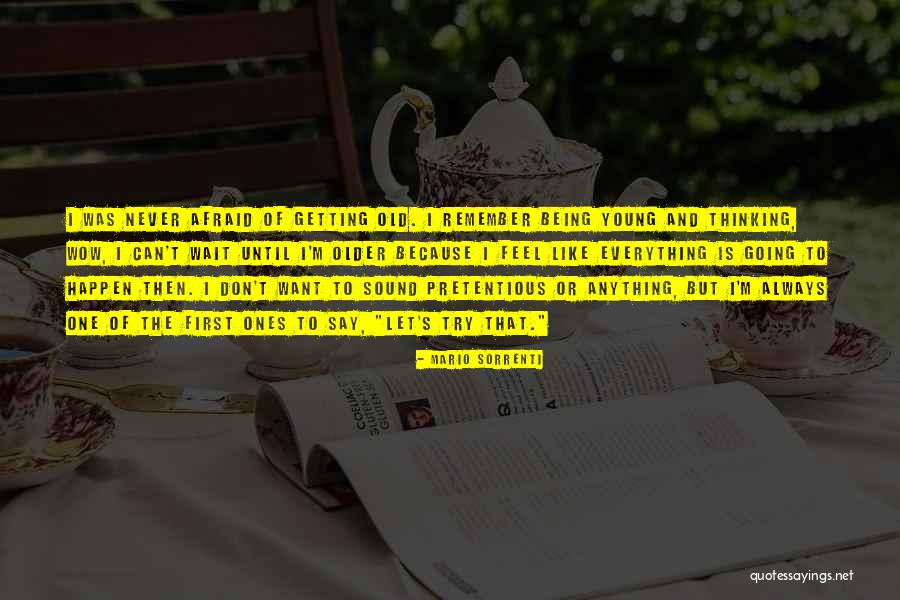 Being Pretentious Quotes By Mario Sorrenti Being Pretentious Quotes By Mario Sorrenti