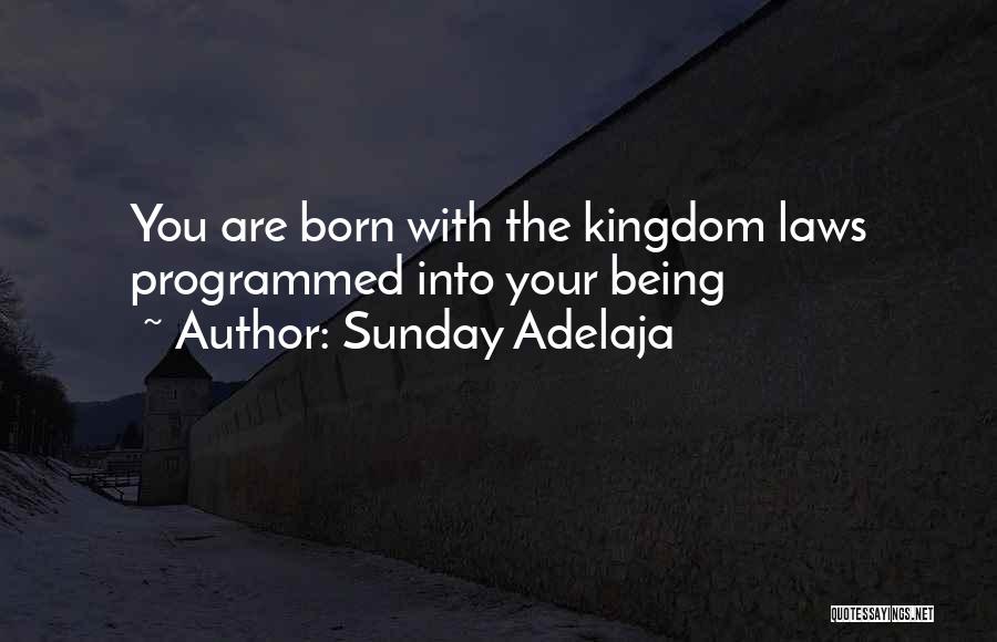 Being Programmed Quotes By Sunday Adelaja