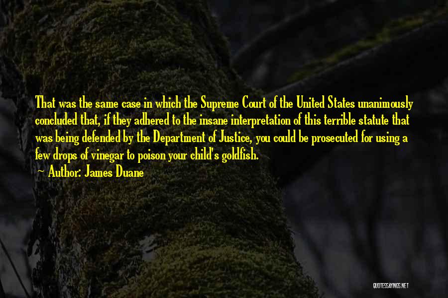 Being Prosecuted Quotes By James Duane