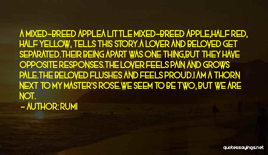 Being Proud Of Yourself Quotes By Rumi