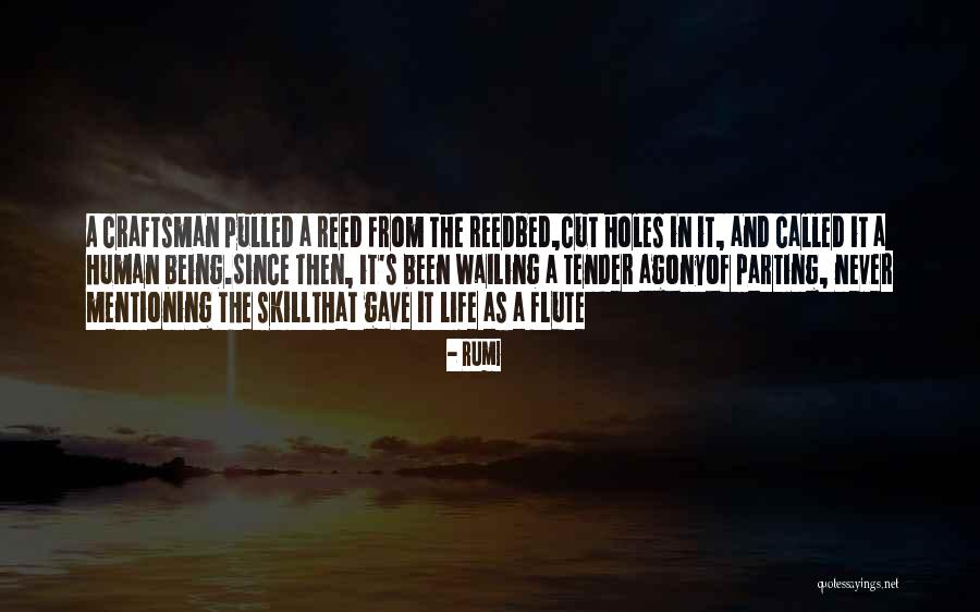 Being Pulled Quotes By Rumi Being Pulled Quotes By Rumi