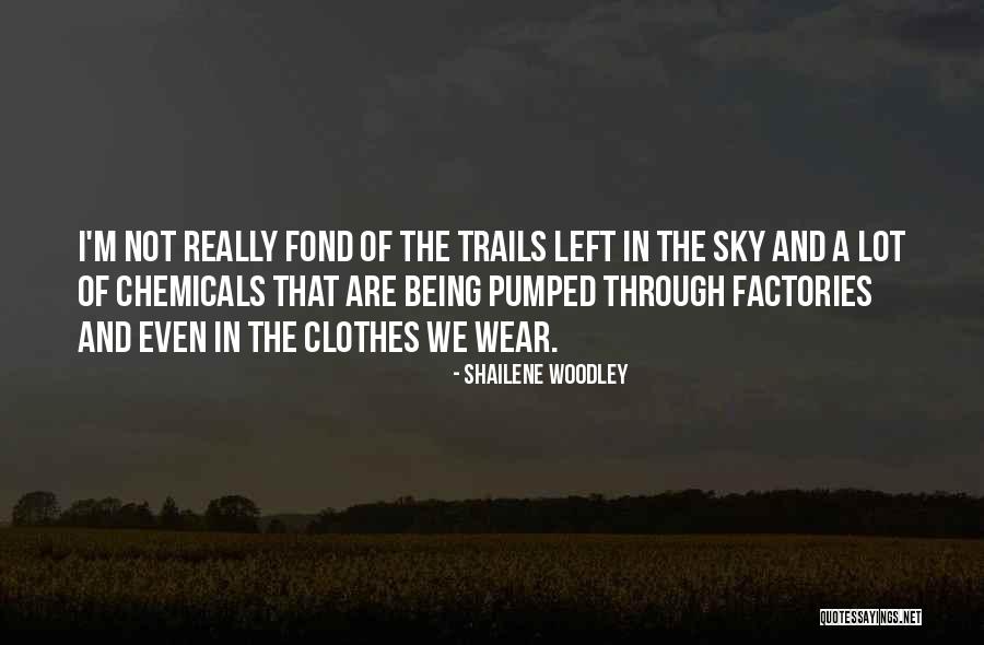 Being Pumped Up Quotes By Shailene Woodley Being Pumped Up Quotes By Shailene Woodley
