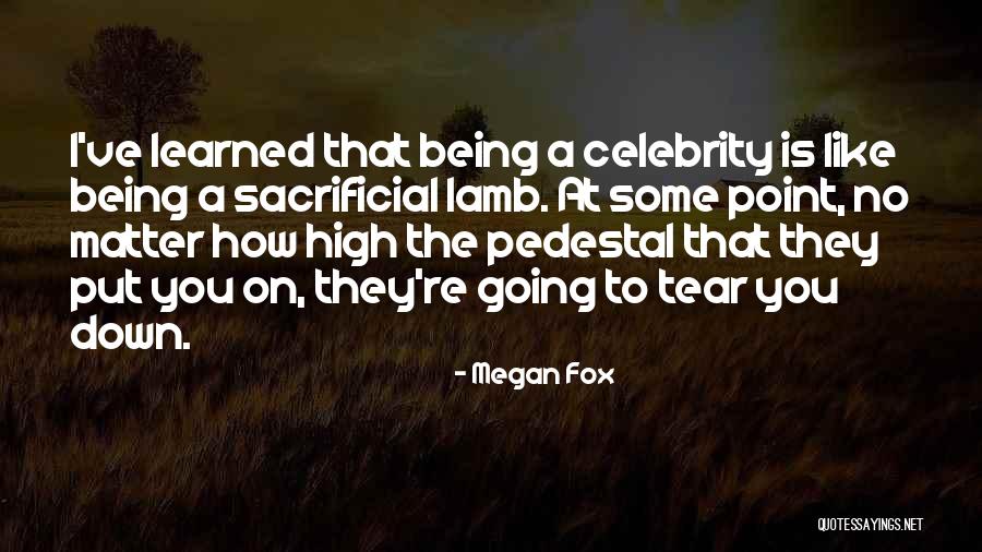 Being Put On A Pedestal Quotes By Megan Fox Being Put On A Pedestal Quotes By Megan Fox