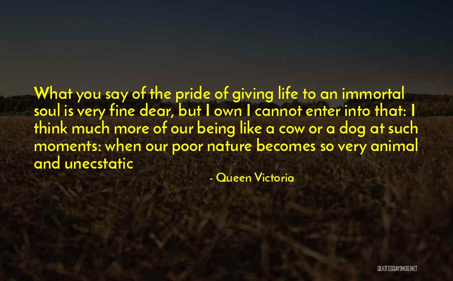 Being Queen Quotes By Queen Victoria Being Queen Quotes By Queen Victoria