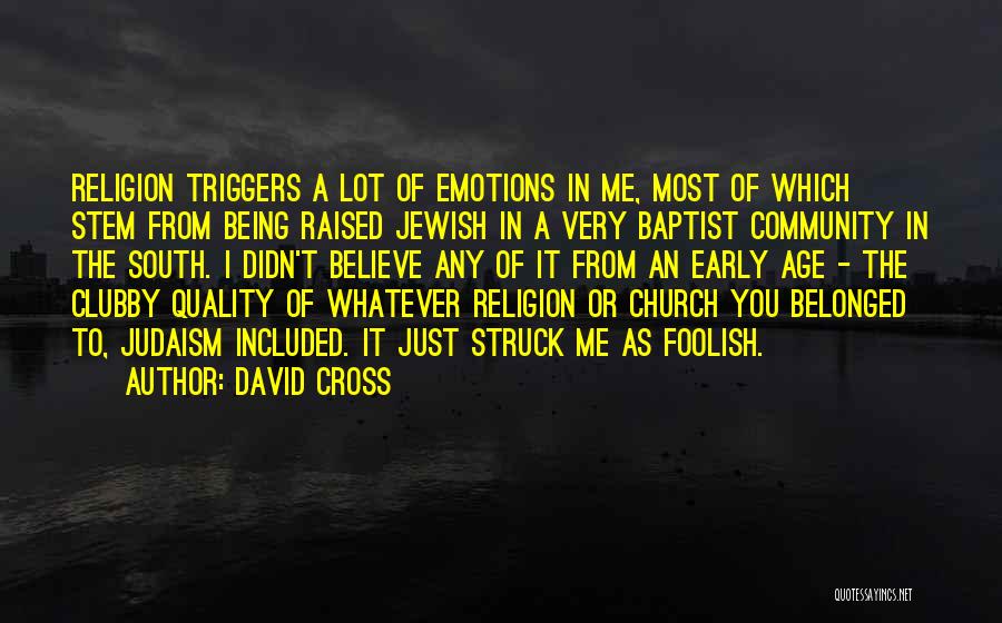 Being Raised Quotes By David Cross