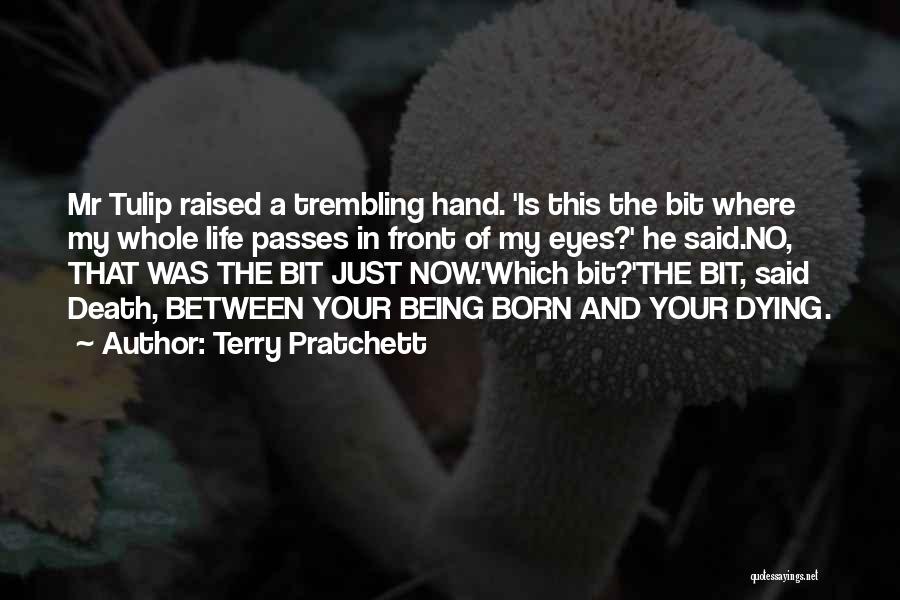 Being Raised Quotes By Terry Pratchett