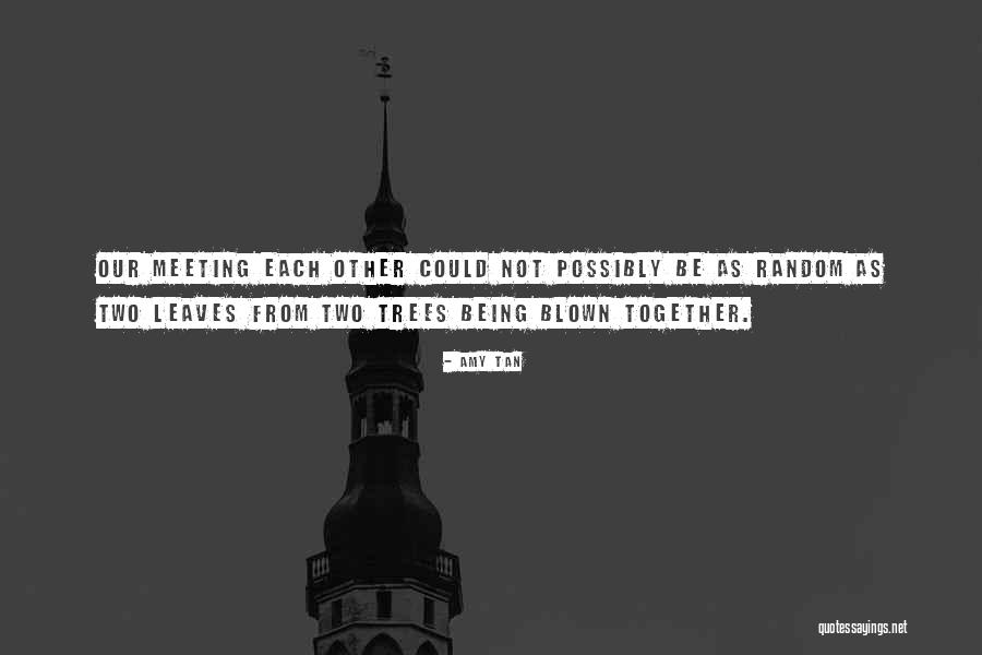 Being Random Quotes By Amy Tan Being Random Quotes By Amy Tan