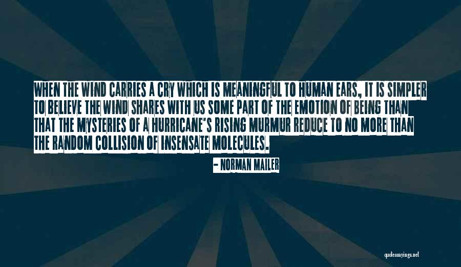 Being Random Quotes By Norman Mailer Being Random Quotes By Norman Mailer