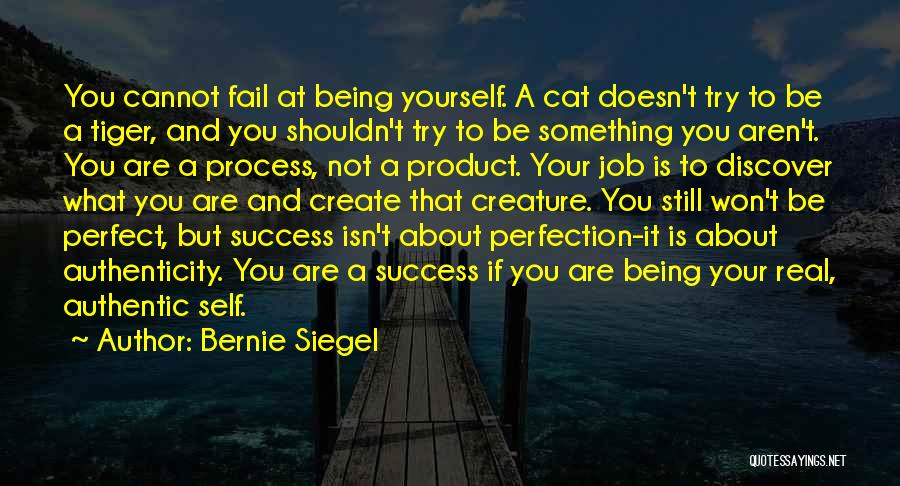 Being Real To Yourself Quotes By Bernie Siegel